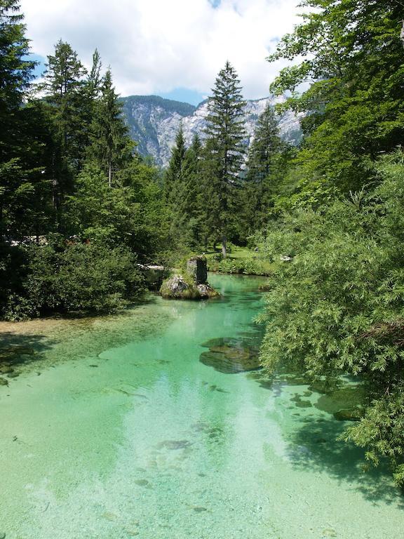 Vila Park B&B - Adults Only Bohinj Exterior photo