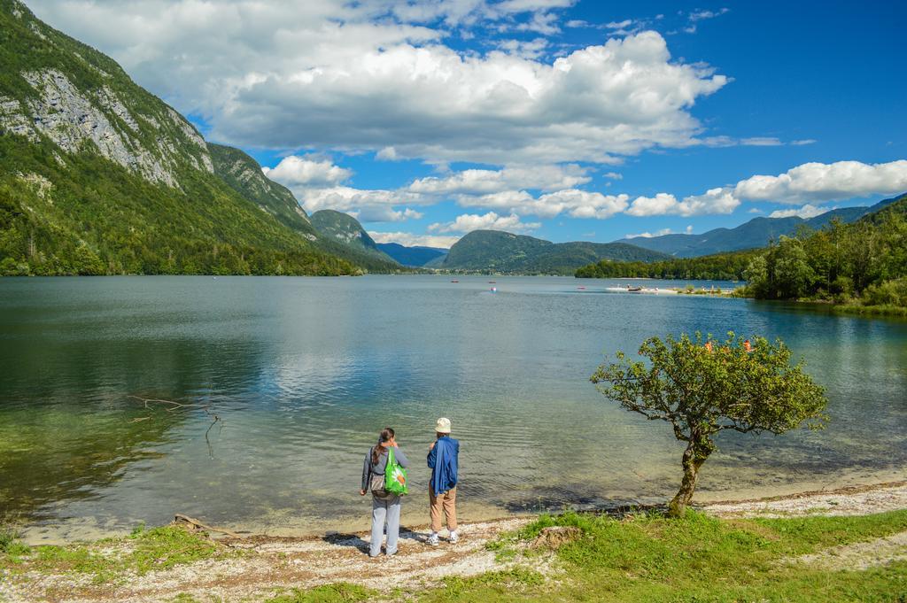 Vila Park B&B - Adults Only Bohinj Exterior photo