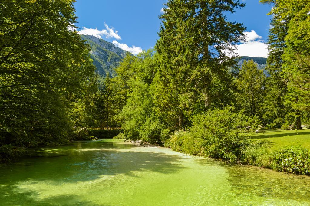 Vila Park B&B - Adults Only Bohinj Exterior photo